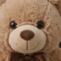 Teddy aus dem Video